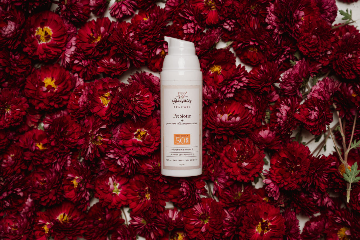 Prebiotic + Plant Stem Cells Sunscreen Cream SPF 50